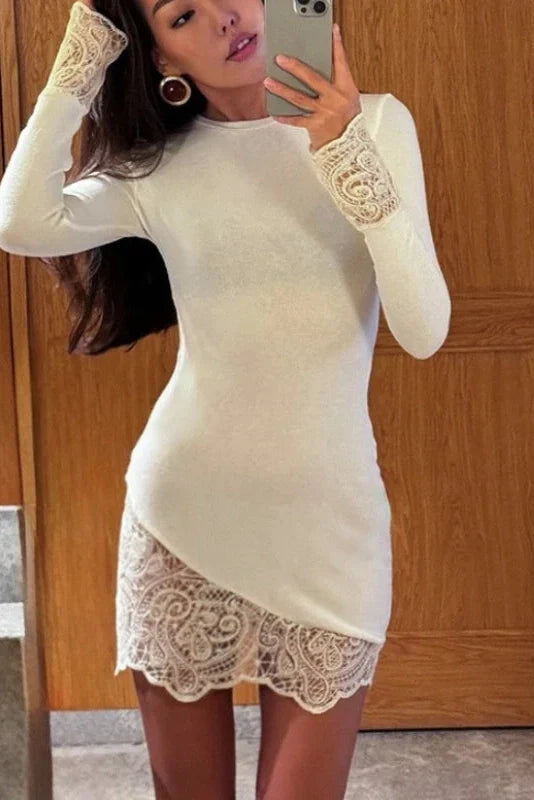 Patchwork Lace Round Neck Bodycon High-Waisted Mini Dress