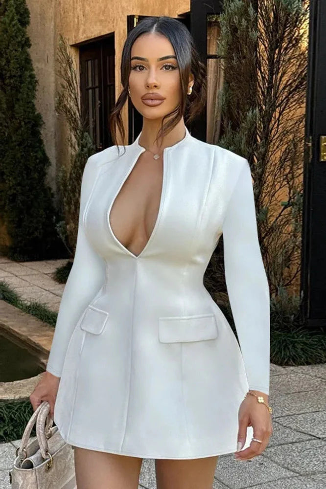 Long Sleeve Deep V Neck A-line Mini Dress