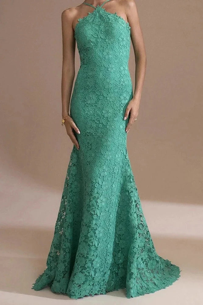 Elegant Sleeveless Fit Backless Off-Shoulder Lace Embroidery Maxi Dress