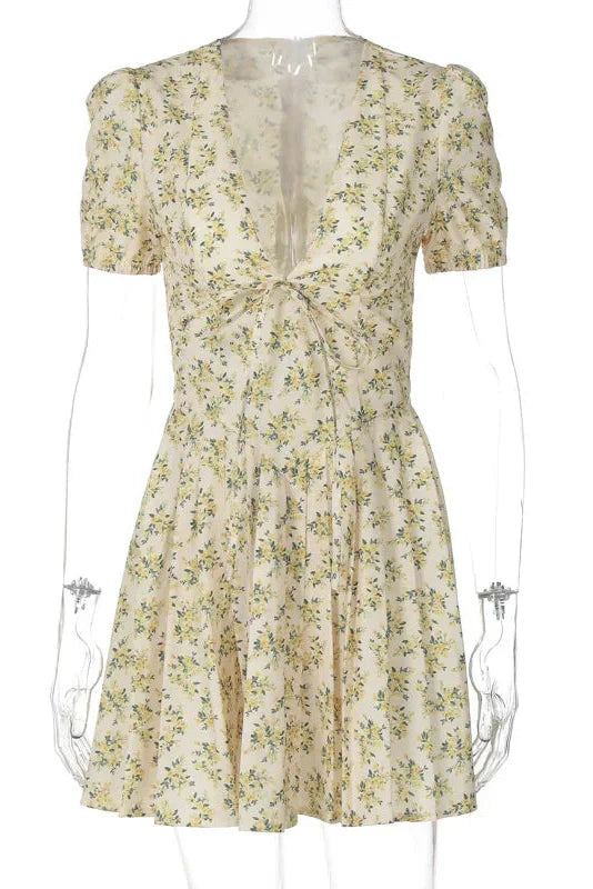 Deep V Neck A-Line High Waist Pleated Printed Mini Dress