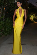 Deep V Neck Sleeveless Backless Bodycon Maxi Dress
