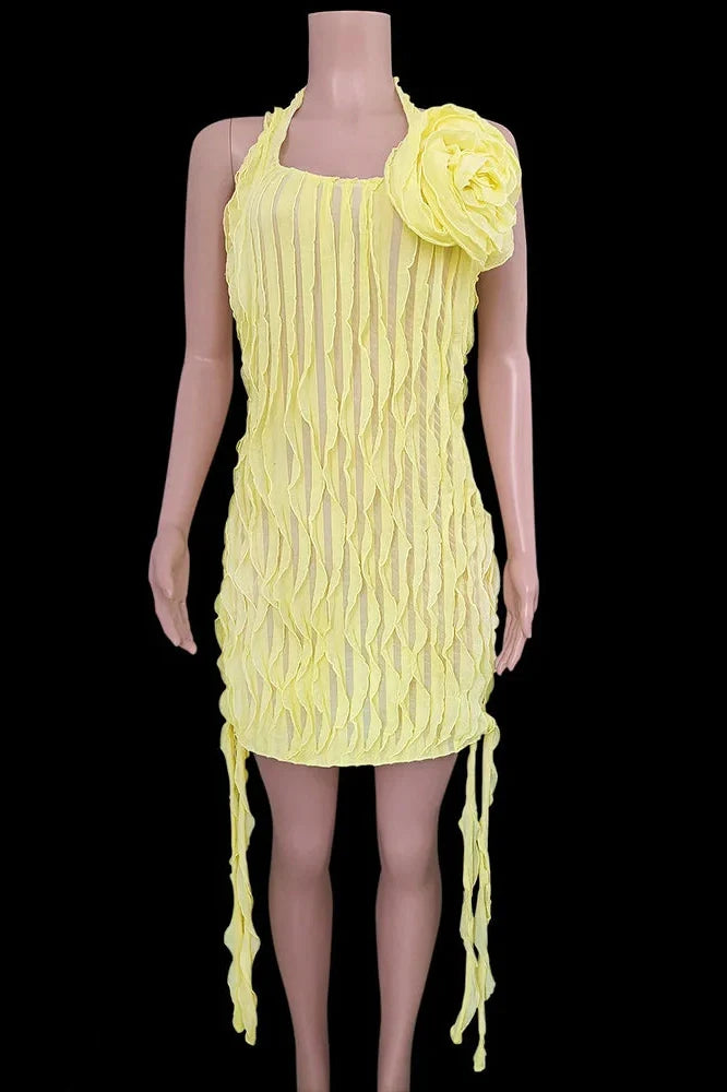 Elegant Pleated Mesh See-Through Slim Mini Dress