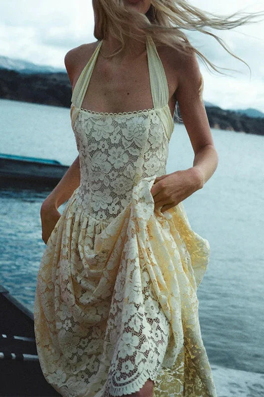 Hollow Out Backless Sleeveless Slim Pleated Lace Midi Dress