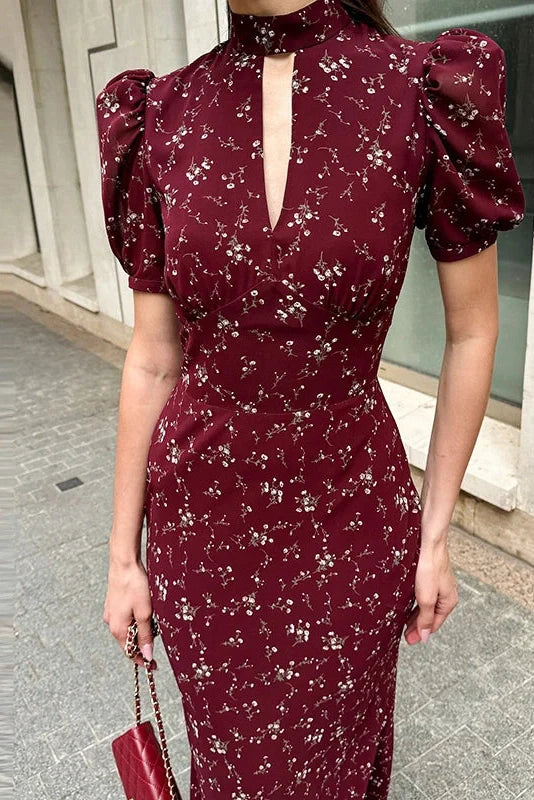 Short Sleeve Printed High Collar Slim Maxi Dress