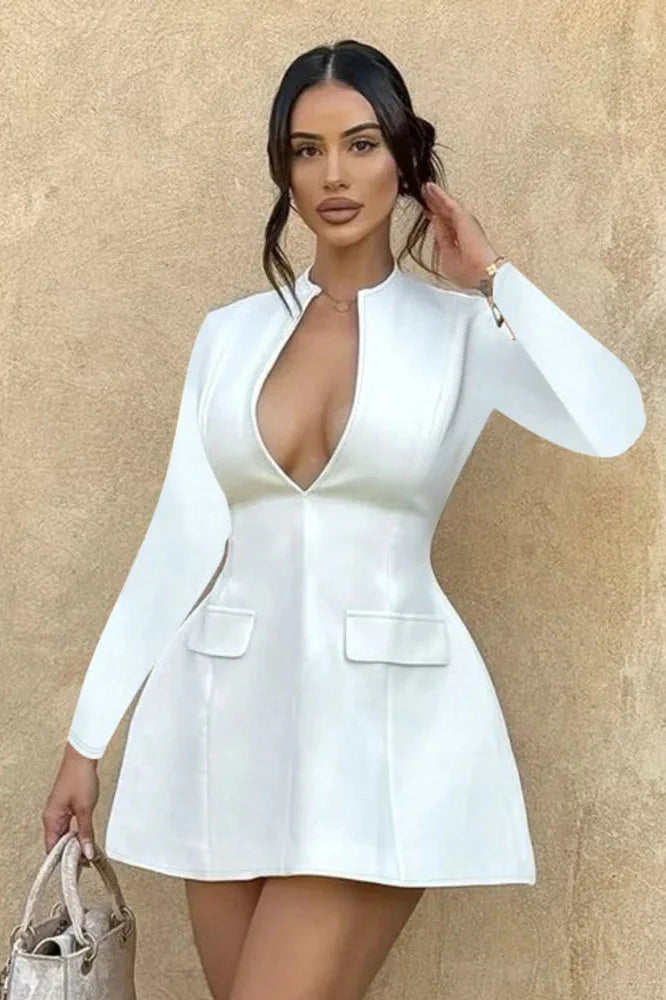 Long Sleeve Deep V Neck A-line Mini Dress