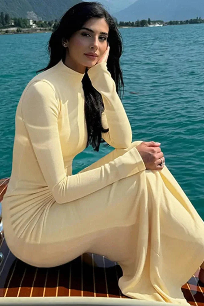 High Collar Long Sleeve Bodycon Maxi Dress