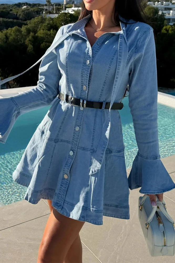 Long Sleeve Slim Pleated Lace Up Mini Dress