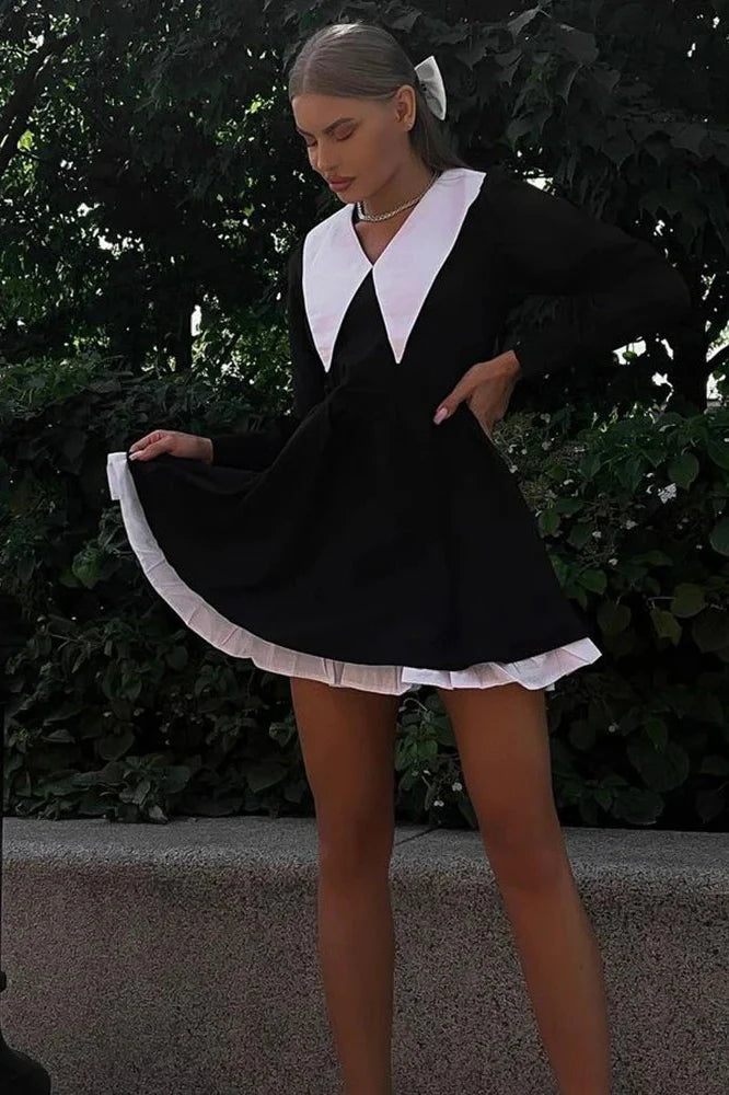 Elegant Long Sleeve Mini Dress