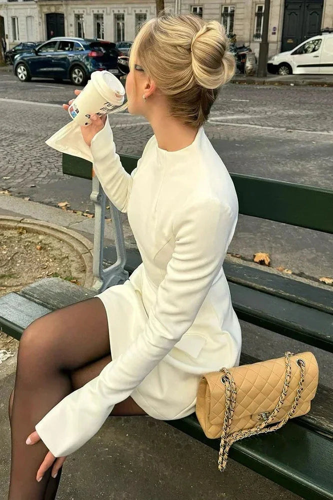 Elegant Long Sleeve Slim A-Line High Waist Mini Dress