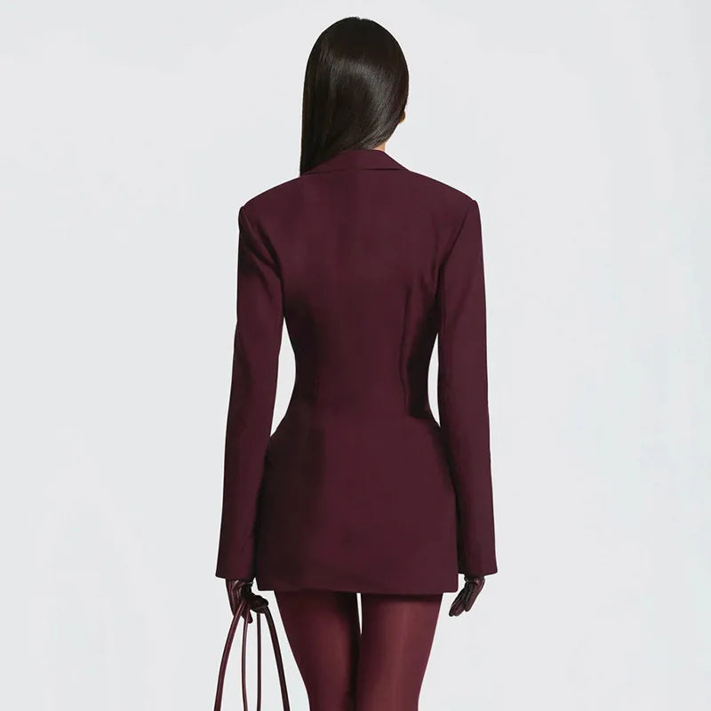 Deep V Neck Long Sleeve High Waist Mini Dress