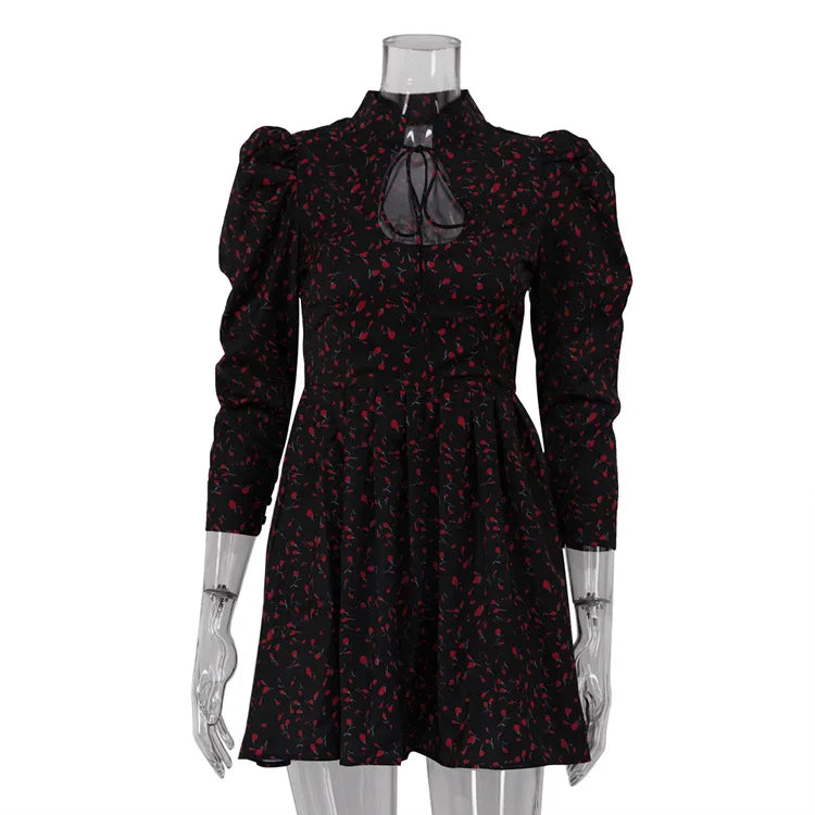 Printed Lace Up High Waist A-Line Mini Dress