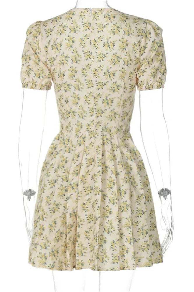 Deep V Neck A-Line High Waist Pleated Printed Mini Dress