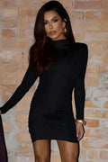 Elegant Long Sleeve High Collar Mini Dress