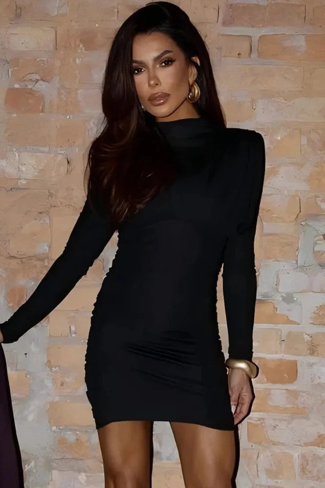 Elegant Long Sleeve High Collar Mini Dress