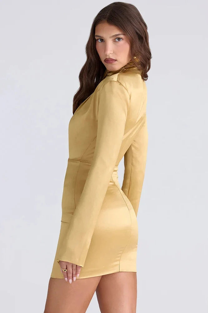 Long Sleeve Turtleneck High Waist Bodycon Mini Dress