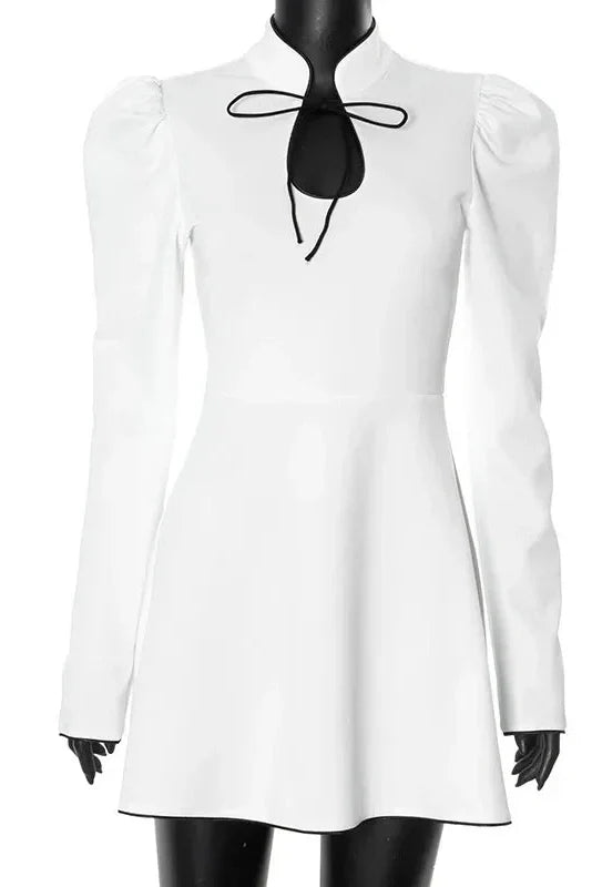 Hollow Out Puff Sleeve Lace Up A-Line Mini Dress