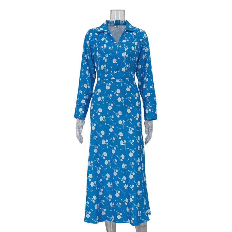Printed V Neck Long Sleeve A-Line Maxi Dress