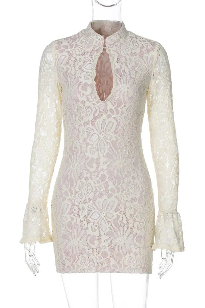 Lace Hollow Out Long Sleeve Bodycon Mini Dress