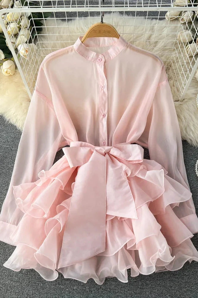 Elegant Mesh Long Sleeve Mini Dress