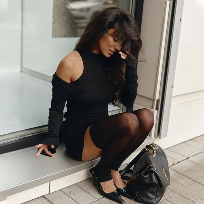 Off Shoulder Turtleneck Long Sleeve Mini Dress