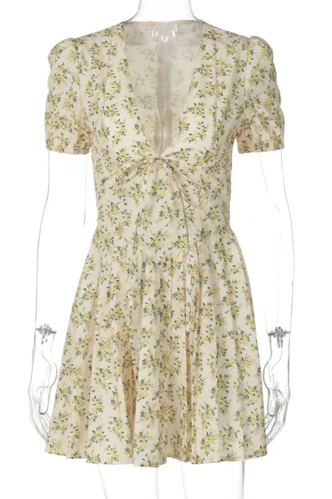 Deep V Neck Print Lace-up Short Sleeve A-line Mini Dress