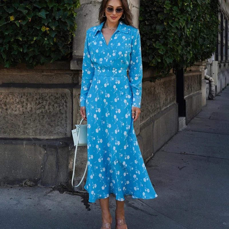 Printed V Neck Long Sleeve A-Line Maxi Dress
