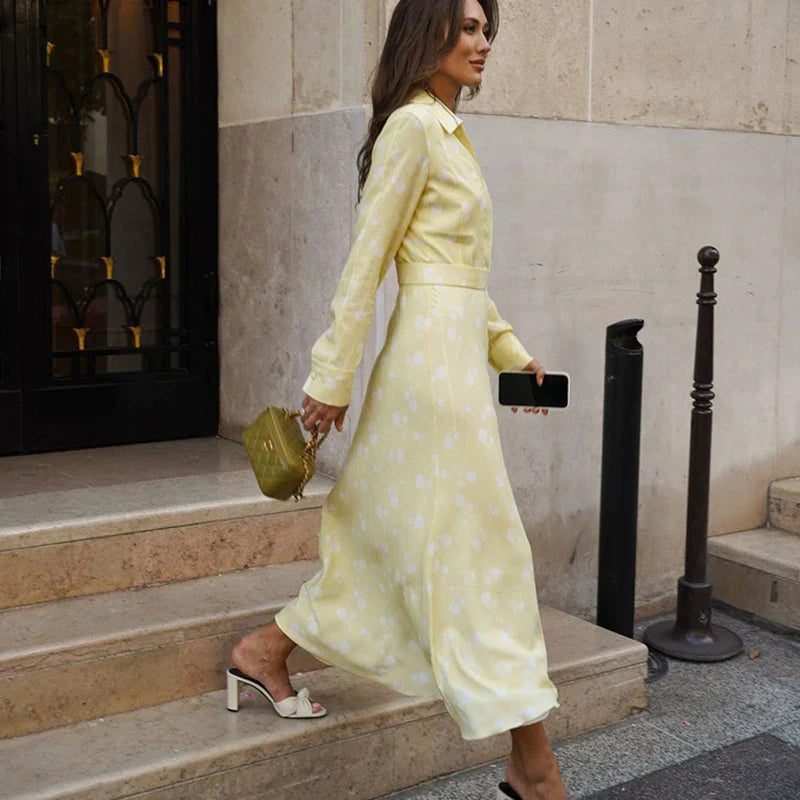 Printed V Neck Long Sleeve A-Line Maxi Dress