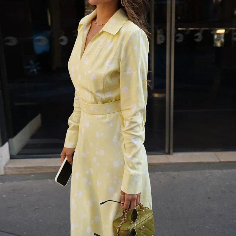 Printed V Neck Long Sleeve A-Line Maxi Dress