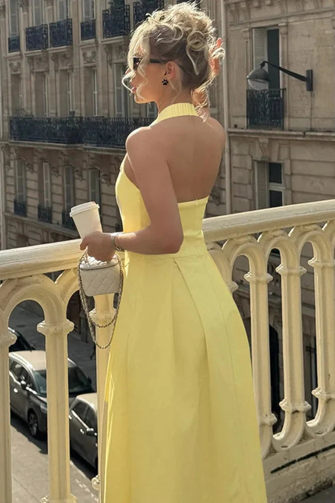 Backless Sleeveless High Waist A-Line Pleated Midi Dress