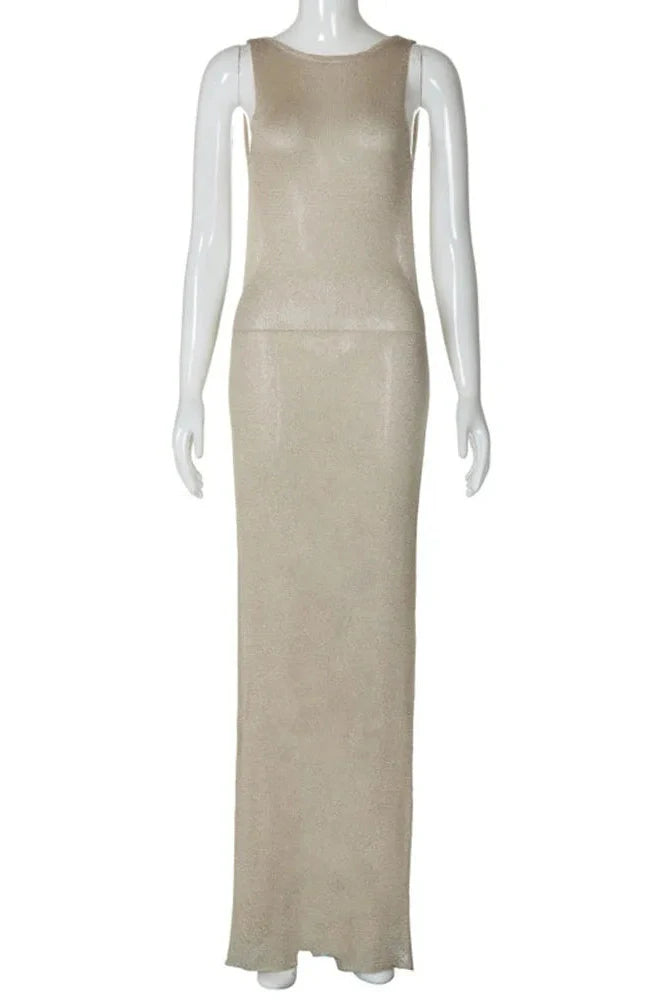 Backless Slit Slim See-Through Maxi Dress