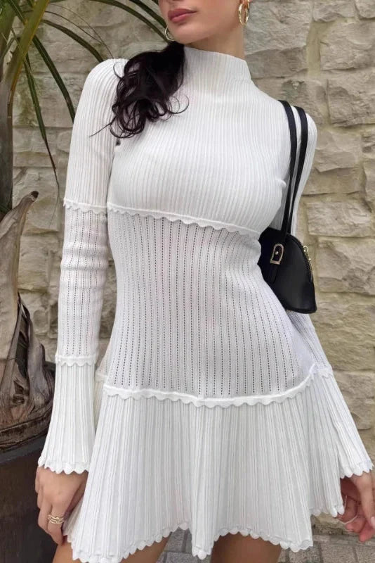 Elegant Slim Knitted Turtleneck Sleeves High Waist Mini Dress