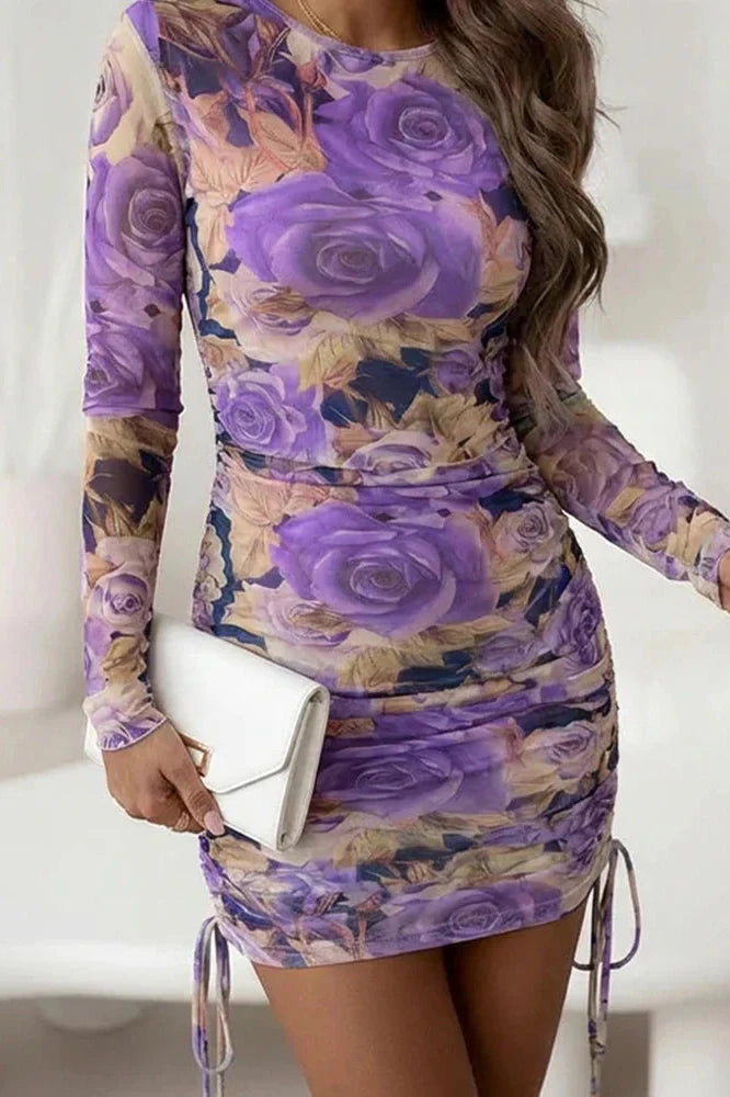 Long Sleeve Slim High Waist Pleated O-Neck Printed Mini Dress