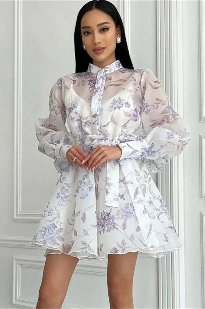 Printed Lace-Up Long Sleeve Bodycon Mini Dress