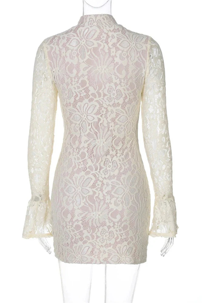 Hollow Out Lace Printed V-Neck Slim Long Sleeve Mini Dress