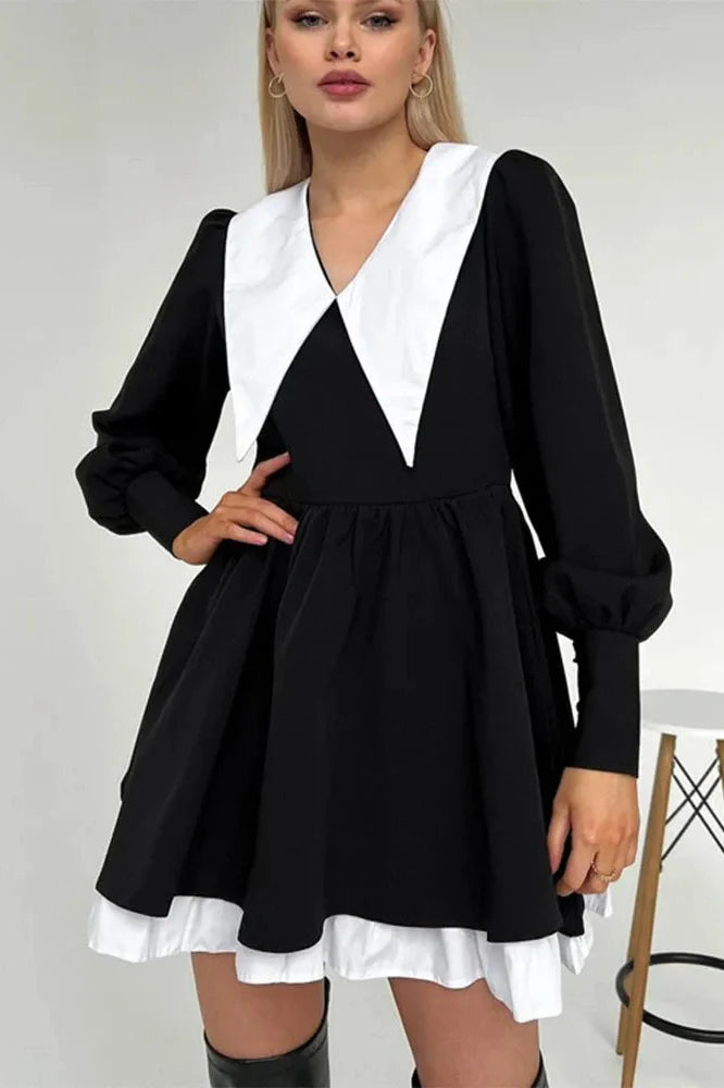 Elegant Long Sleeve Mini Dress