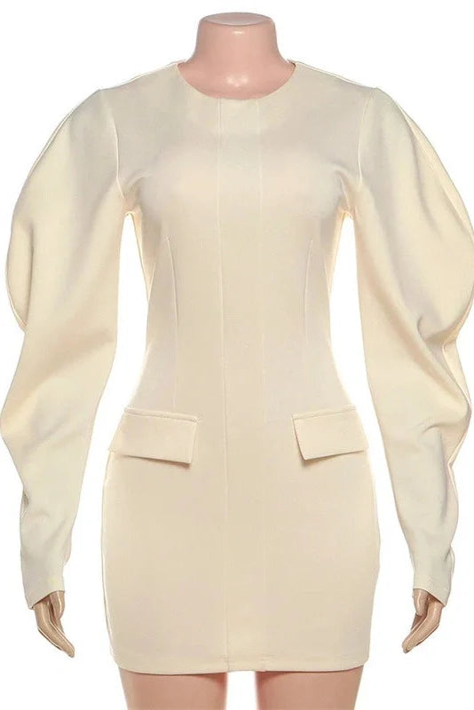 Elegant Slim Zipper Long Sleeves High Waist Mini Dress