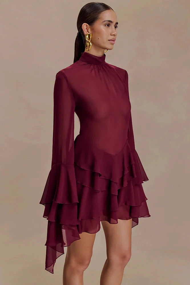 See Through Turtleneck Long Sleeve Mini Dress