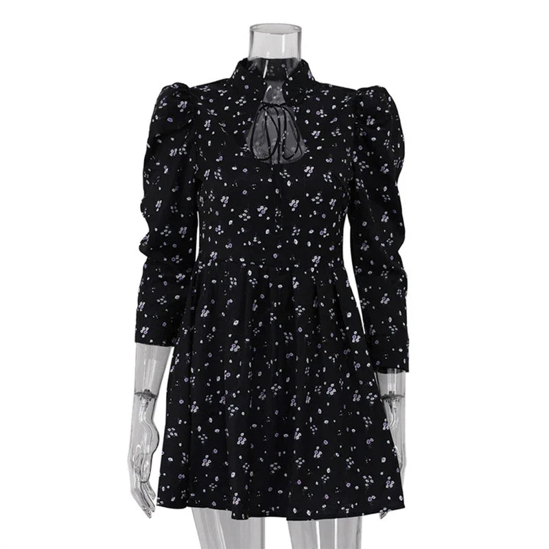 Printed Lace Up High Waist A-Line Mini Dress