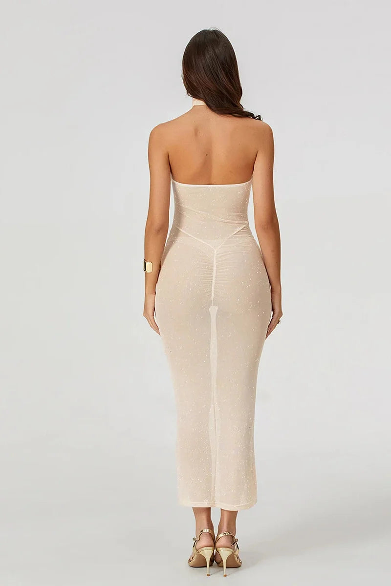 Strapless Bodycon See-Through Maxi Dress