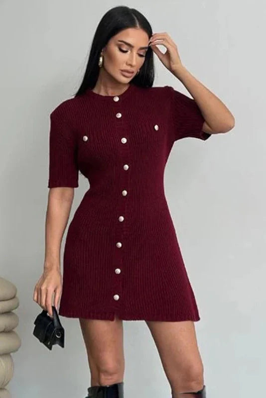 Elegant Knitted Slim Mini Dress