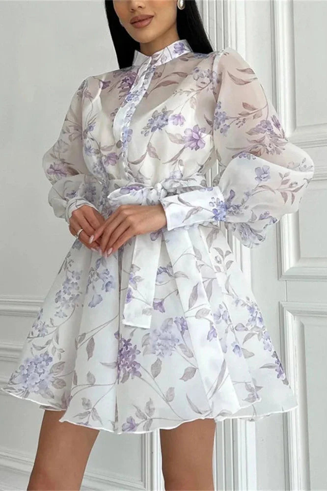 Printed Lace-Up Long Sleeve Bodycon Mini Dress