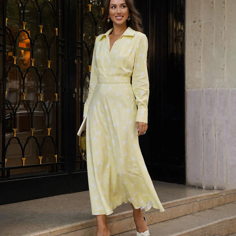 Printed V Neck Long Sleeve A-Line Maxi Dress