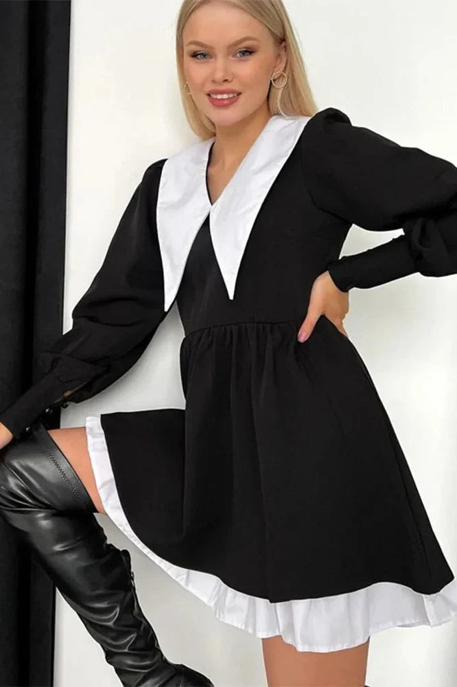 Elegant Long Sleeve Mini Dress