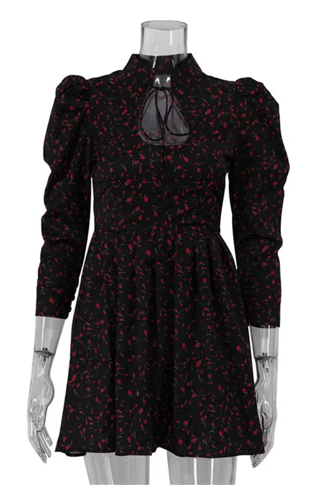 Printed Lace-Up Patchwork Long Sleeve High Waist Mini Dress