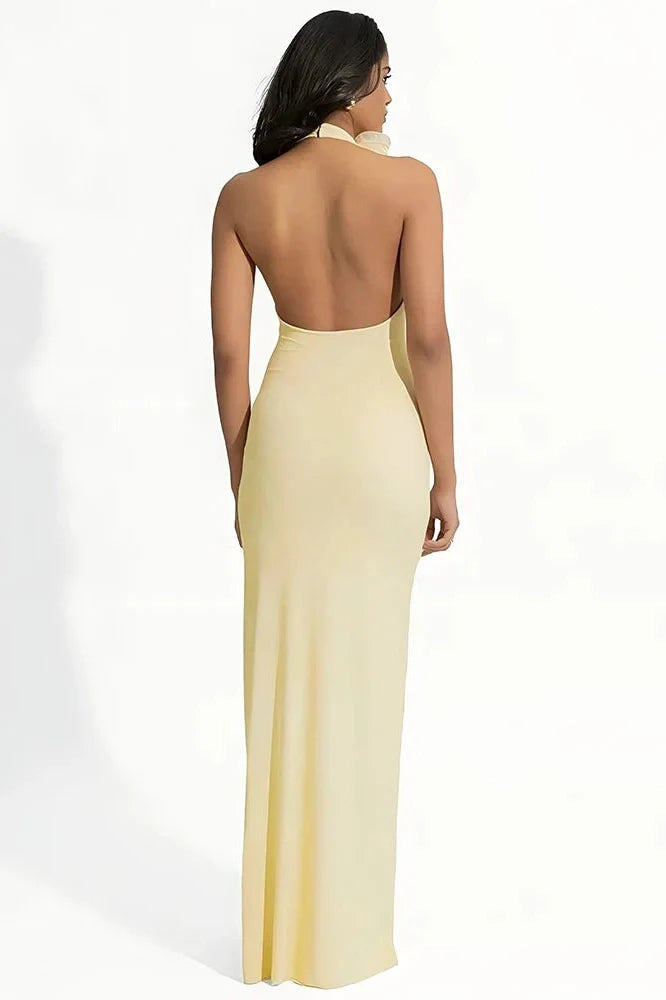 Deep V Neck Sleeveless Backless Bodycon Maxi Dress