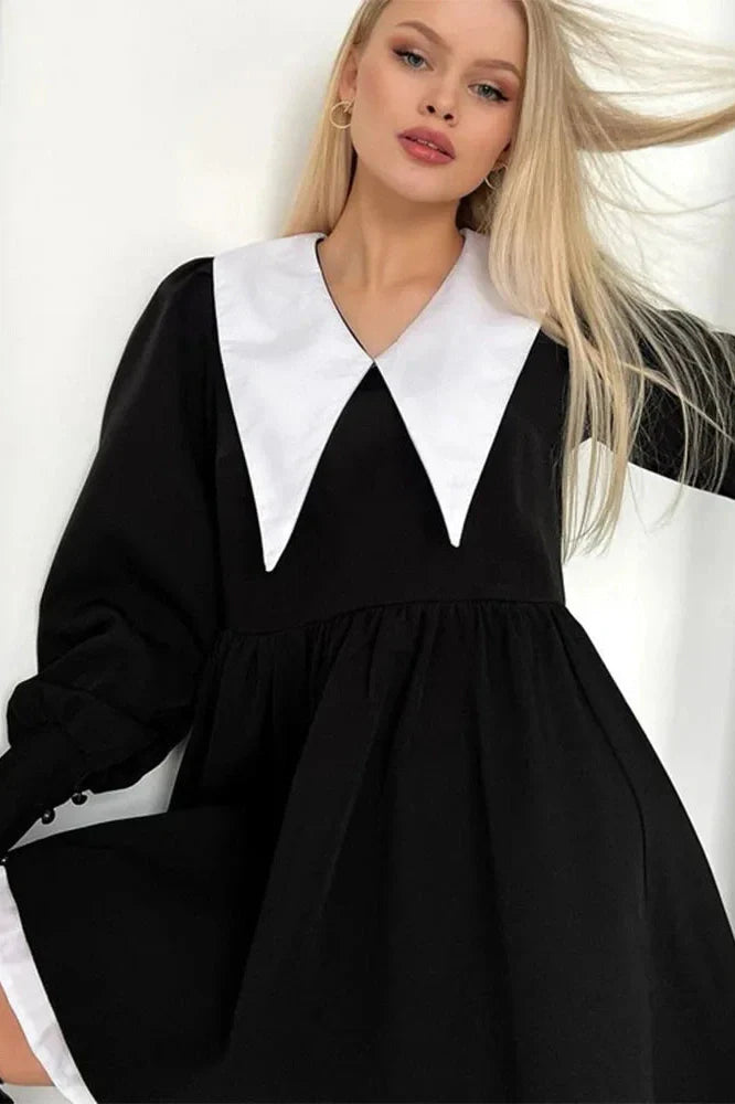 Elegant Long Sleeve Mini Dress