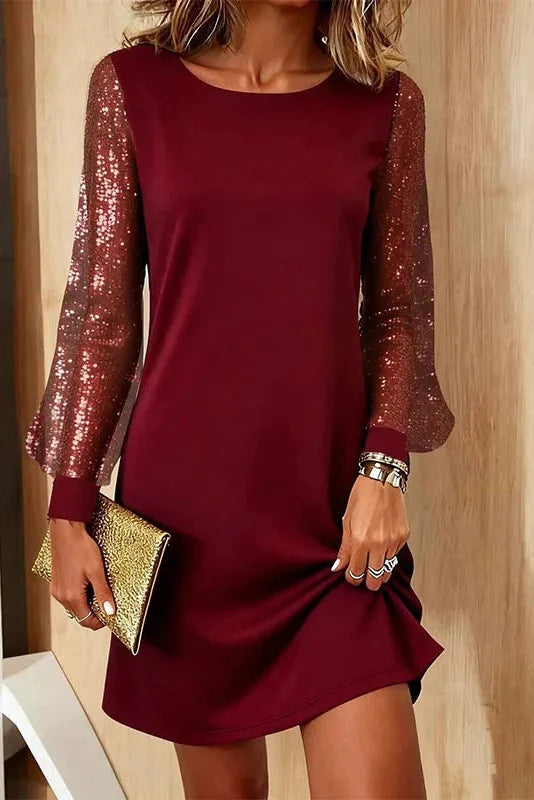 Long Sleeve O-Neck High Waist A-Line Mini Dress
