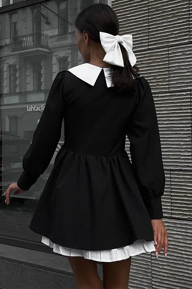 Elegant Long Sleeve Mini Dress