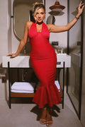 Sleeveless Deep V Neck Backless Bodycon Maxi Dress