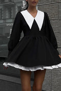 Elegant Long Sleeve Mini Dress